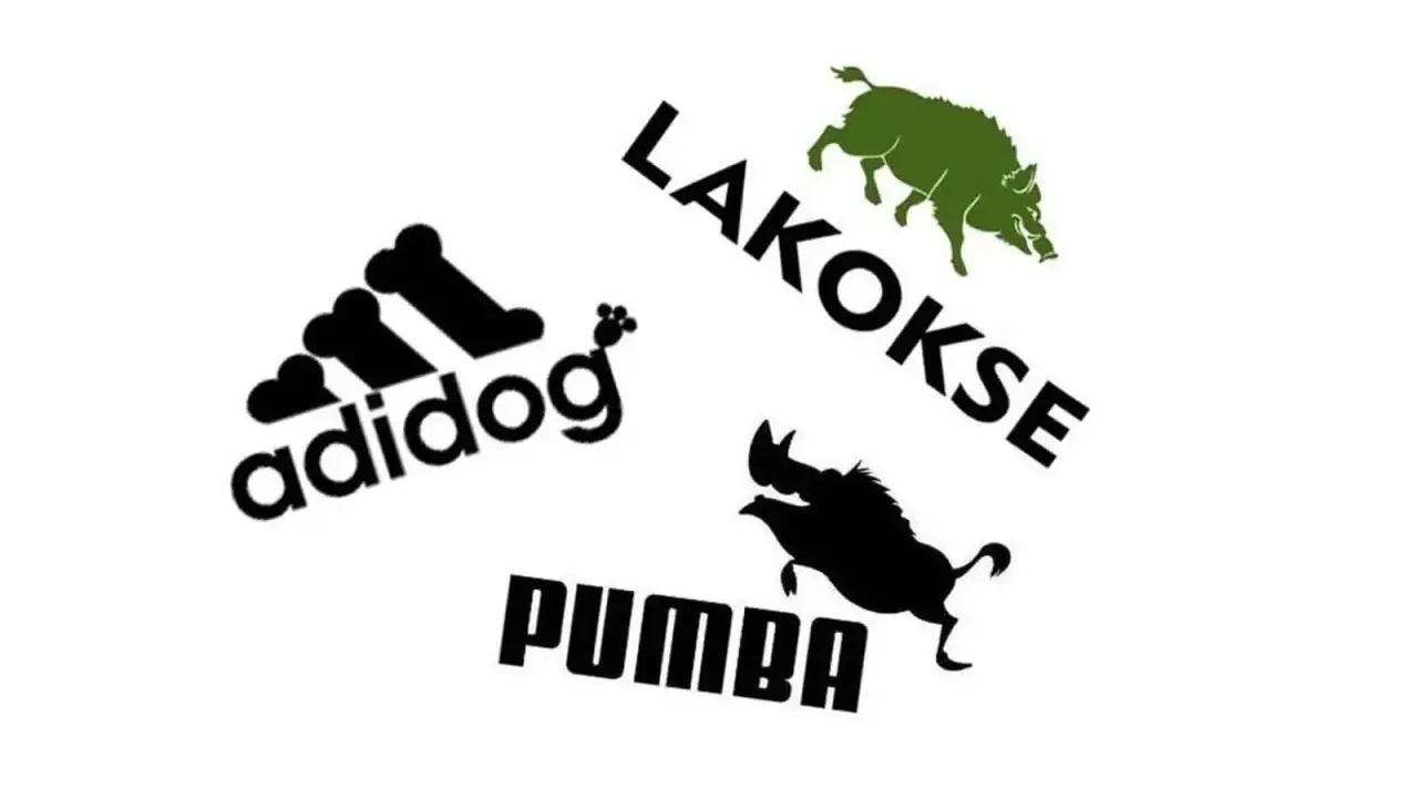 Adidog" z kośćmi, "Lakokse" z dzikiem, "Pumba" z dzikiem. Marka z ptakiem w logo? Nie, tu są dziki i pies.