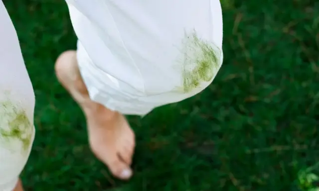 Białe spodnie z zielonymi plamami od trawy. Zastanawiasz się, czym usunąć plamy z trawy?