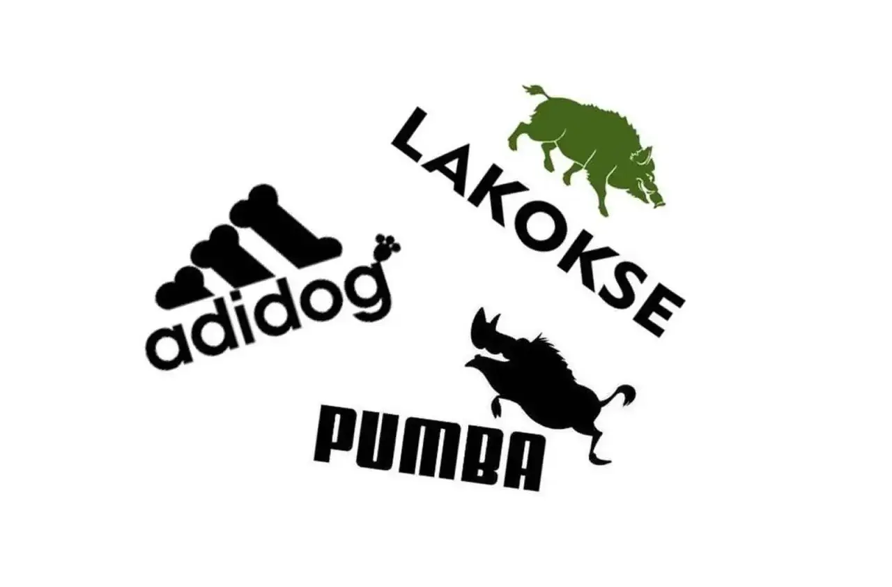 Adidog" z kośćmi, "Lakokse" z dzikiem, "Pumba" z dzikiem. Marka z ptakiem w logo? Nie, tu są dziki i pies.